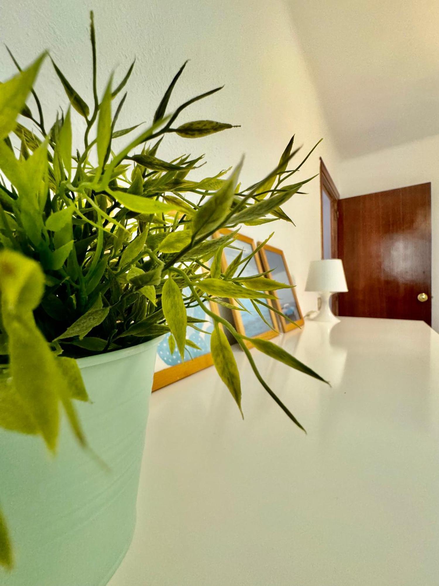 Acogedor Apartamento En มาลากา ภายนอก รูปภาพ