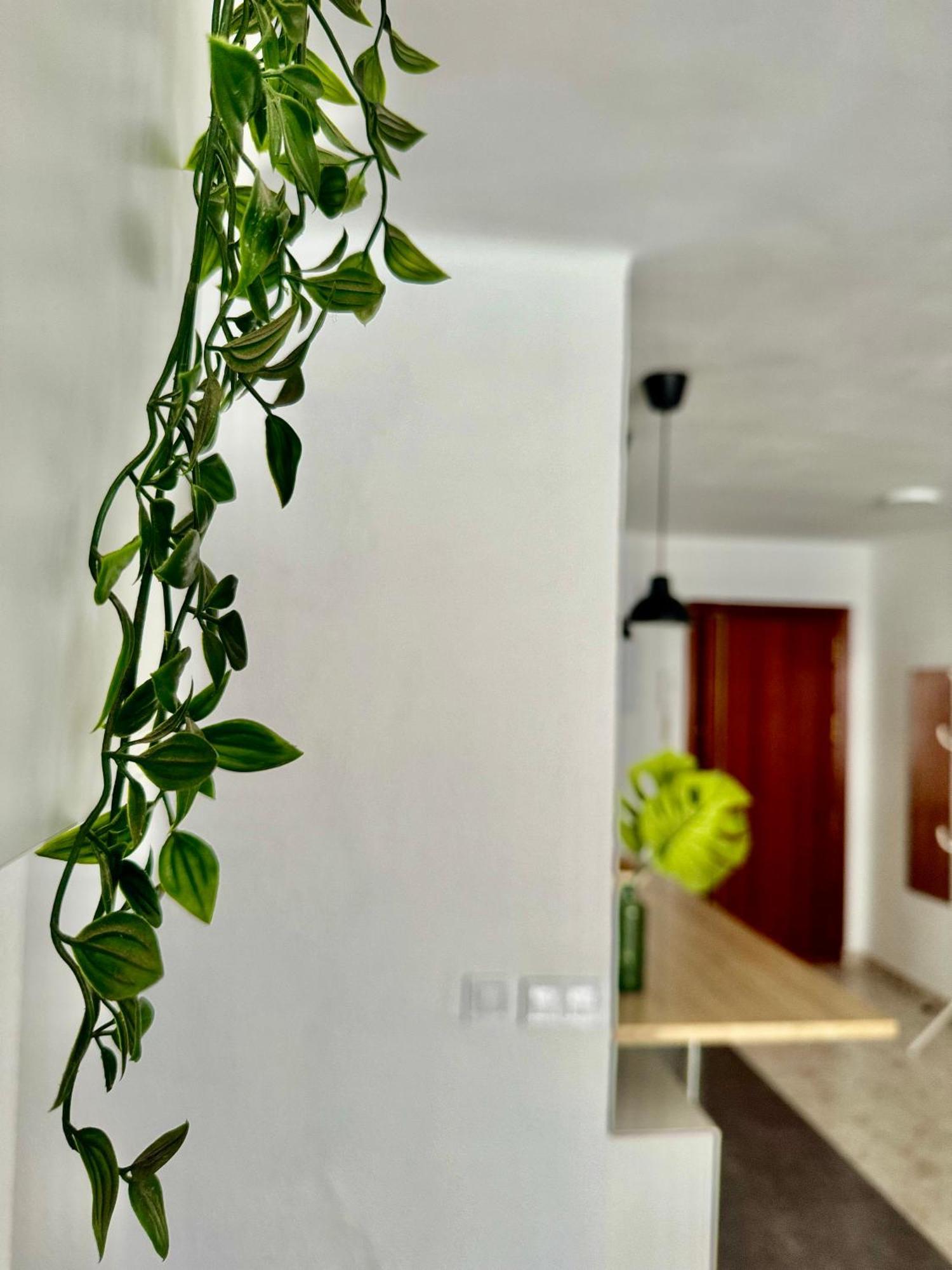 Acogedor Apartamento En มาลากา ภายนอก รูปภาพ